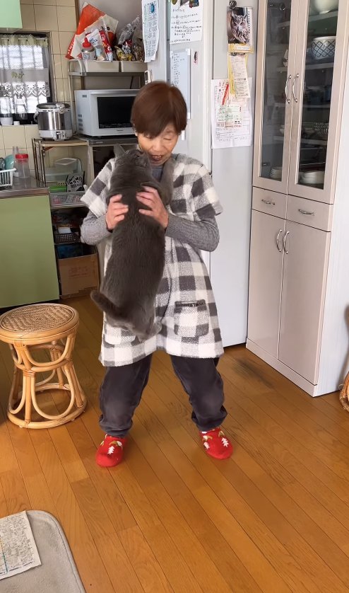 おばあちゃんにキャッチされている猫