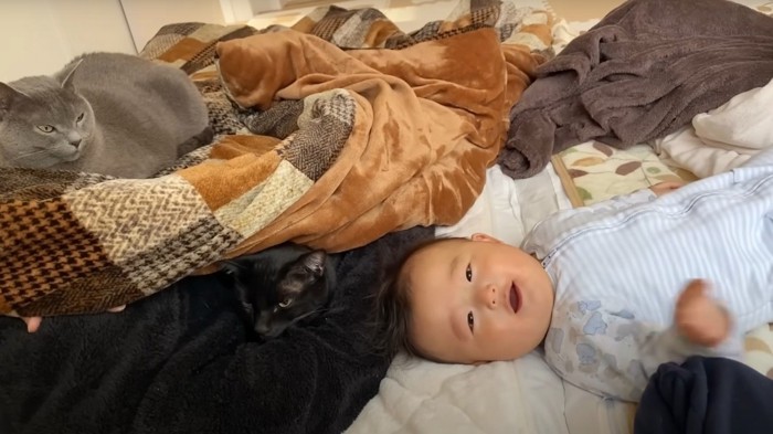 2匹とカメラ目線の子ども