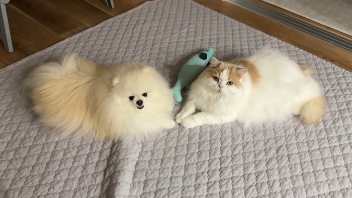 見上げるふたり