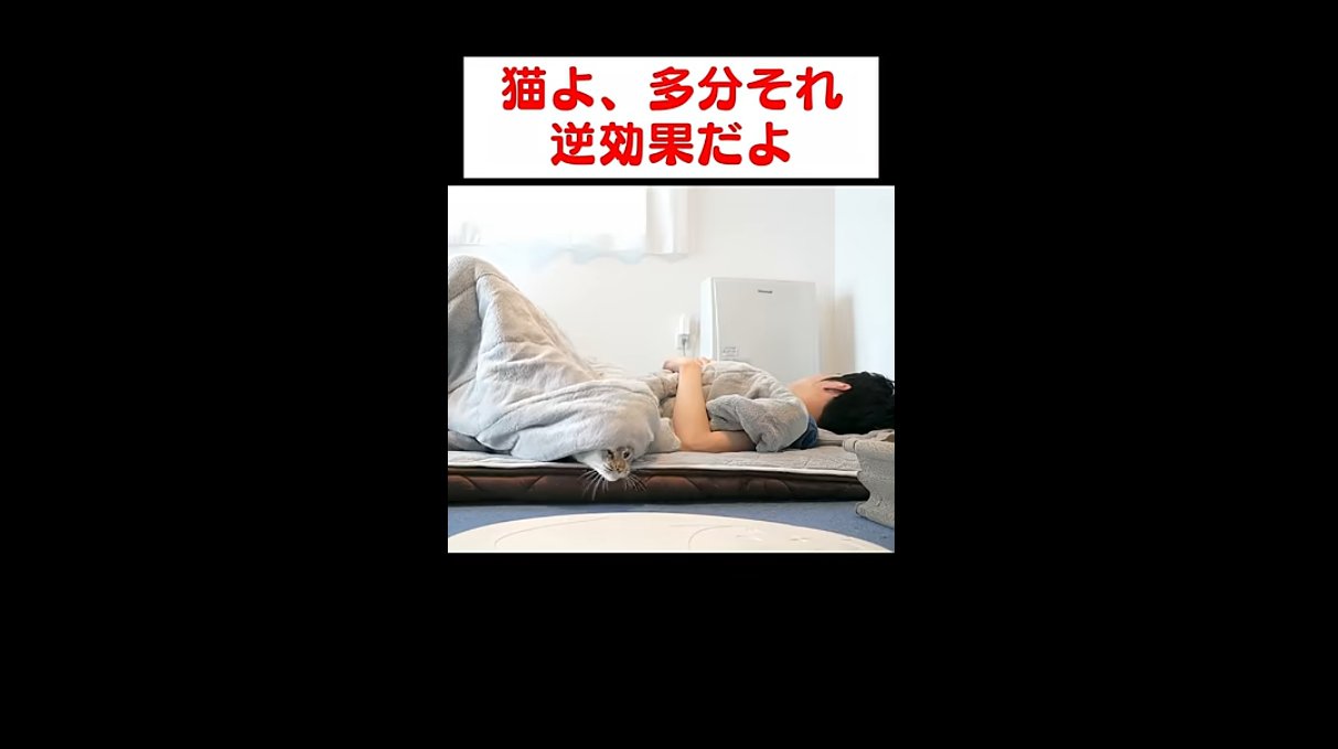 毛布から顔を出して