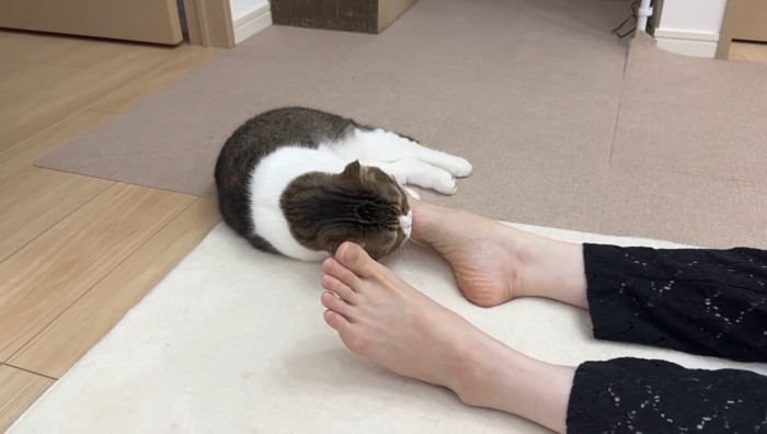 足の先に噛みつき中