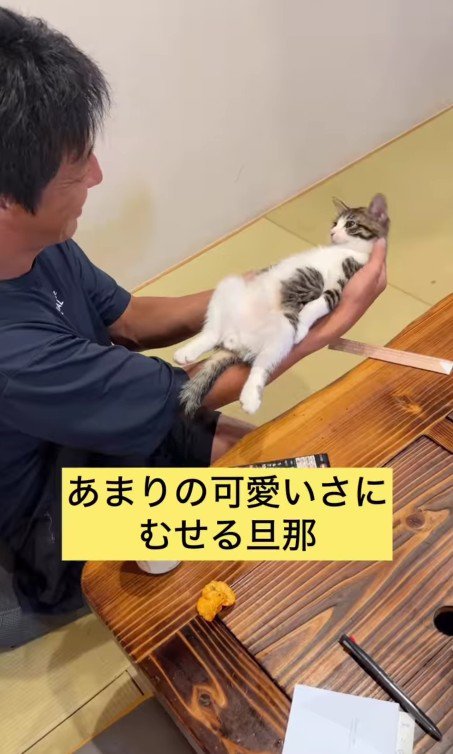 てのひらの上の猫