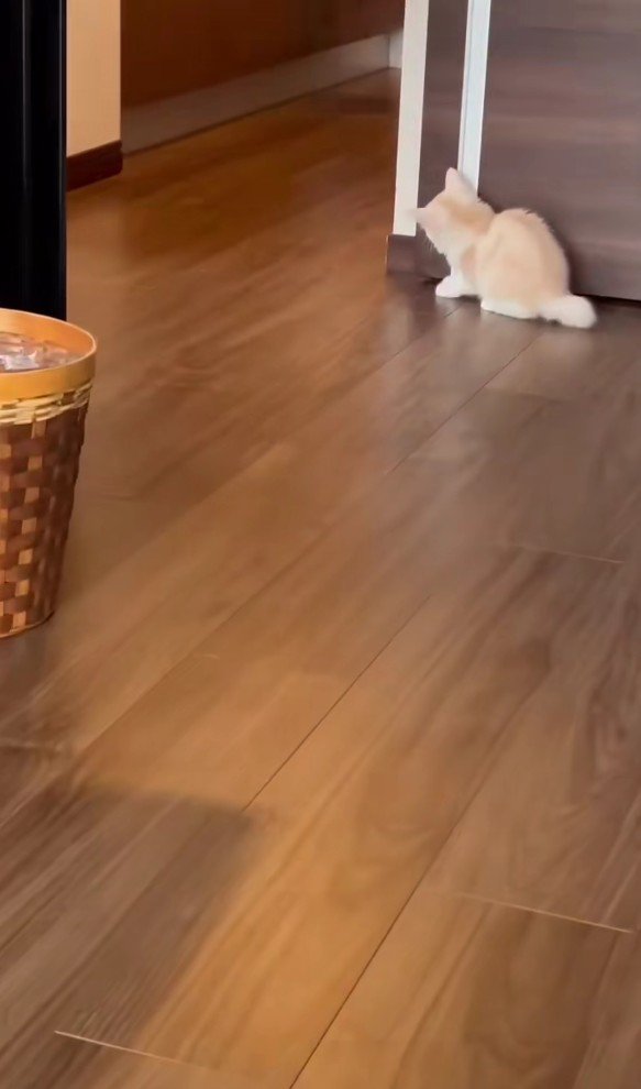 かくれんぼ中のバンビくん