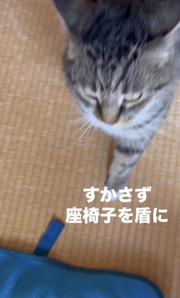 「すかさず座椅子を盾に」のテロップ写真