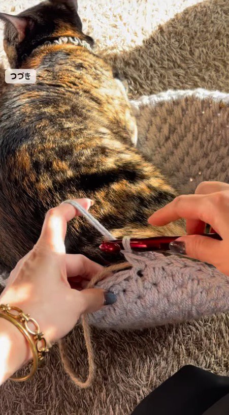 毛糸を編む女性の手