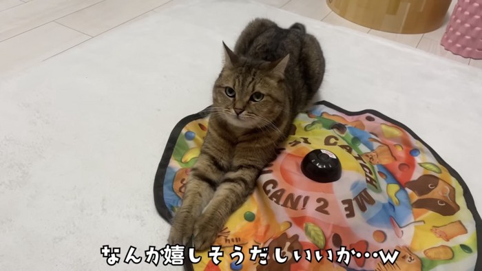 「なんか嬉しそうだしいいか...w」のテロップ写真