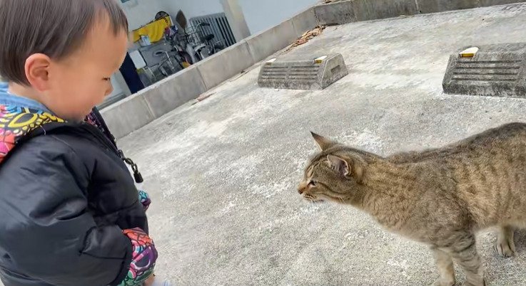 立ち上がった男の子