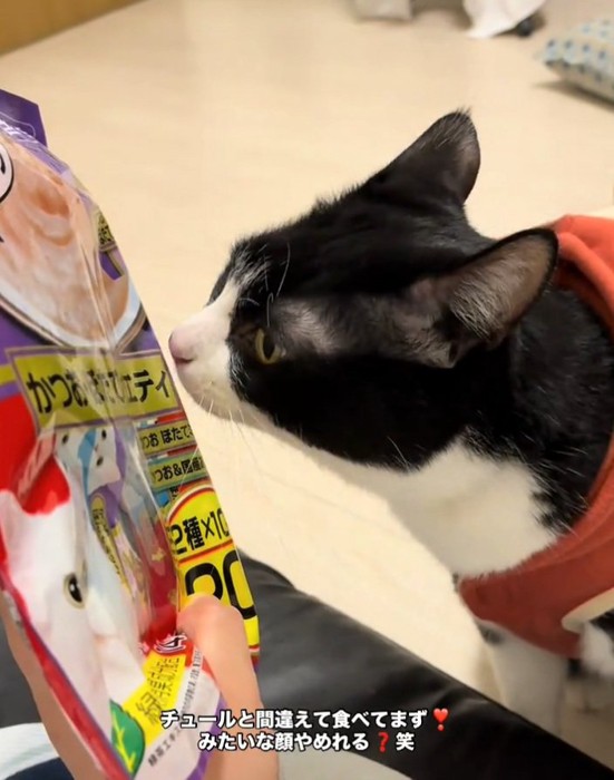 匂いを嗅ぐオレオちゃん