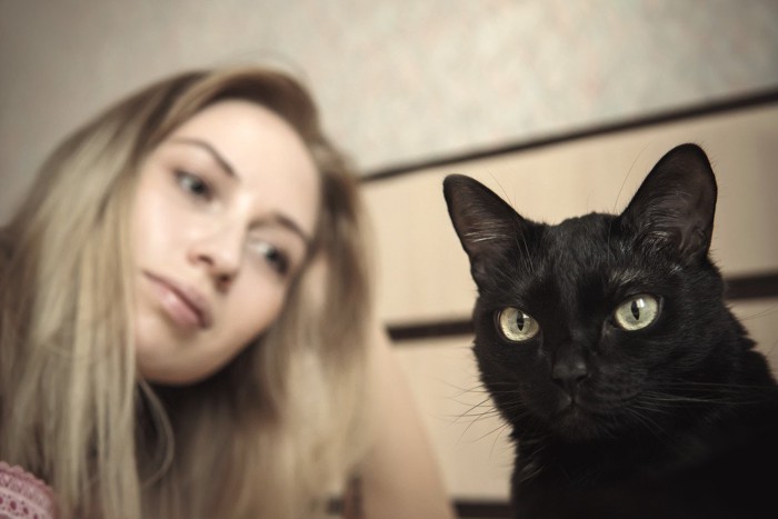 後ろから女性に見られている黒猫