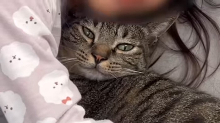 ももまるちゃんのアップ