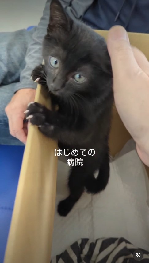 病院