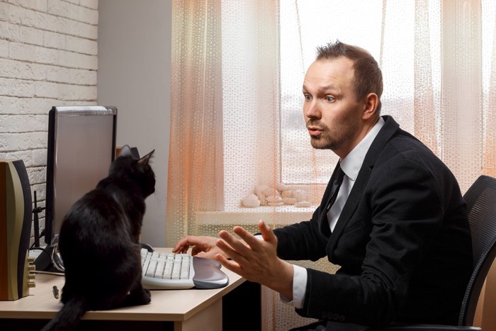 猫に話しかける在宅ワーク中の男性