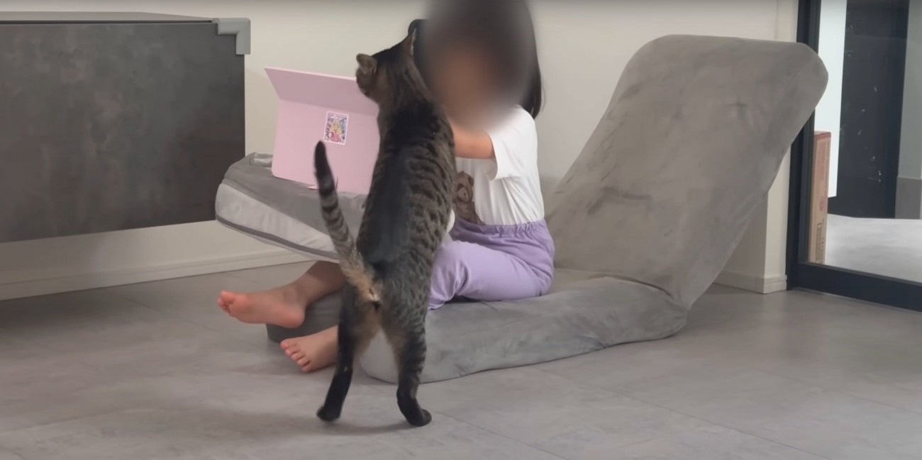 構ってアピールをするももまるちゃん