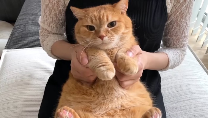 踊らされるプリンくん