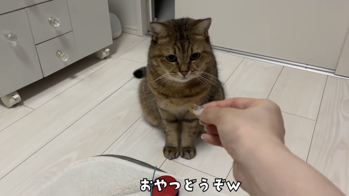 「おやつどうぞｗ」のテロップ写真