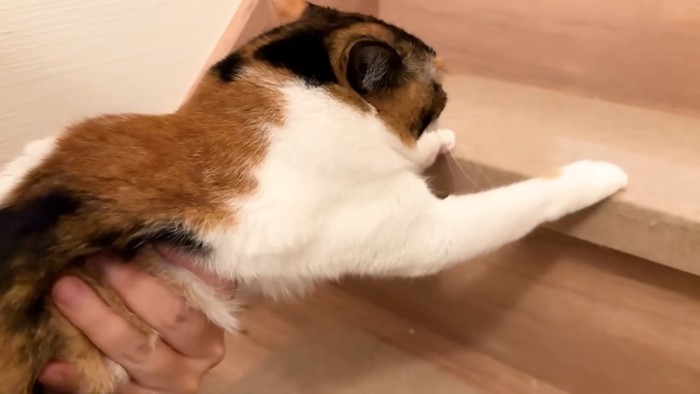 階段にしがみついて