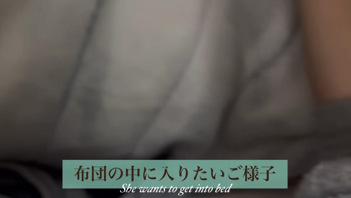 布団の中へ入りたい様子