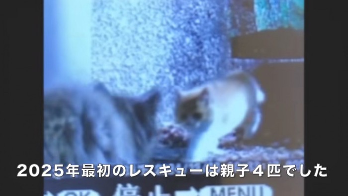 テロップ「2025年最初の～」