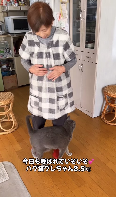 おばあちゃんの足元にくっつく猫