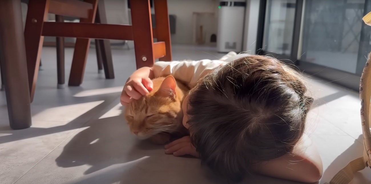 撫でられて嬉しそうな猫