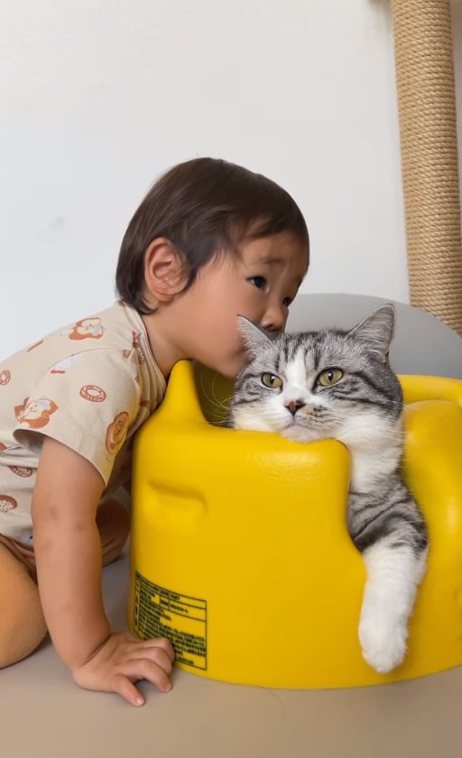 猫に顔を近づける男の子