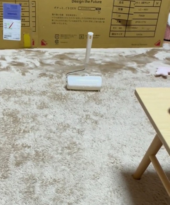 コロコロを見て画面外に逃げたみぃちゃん