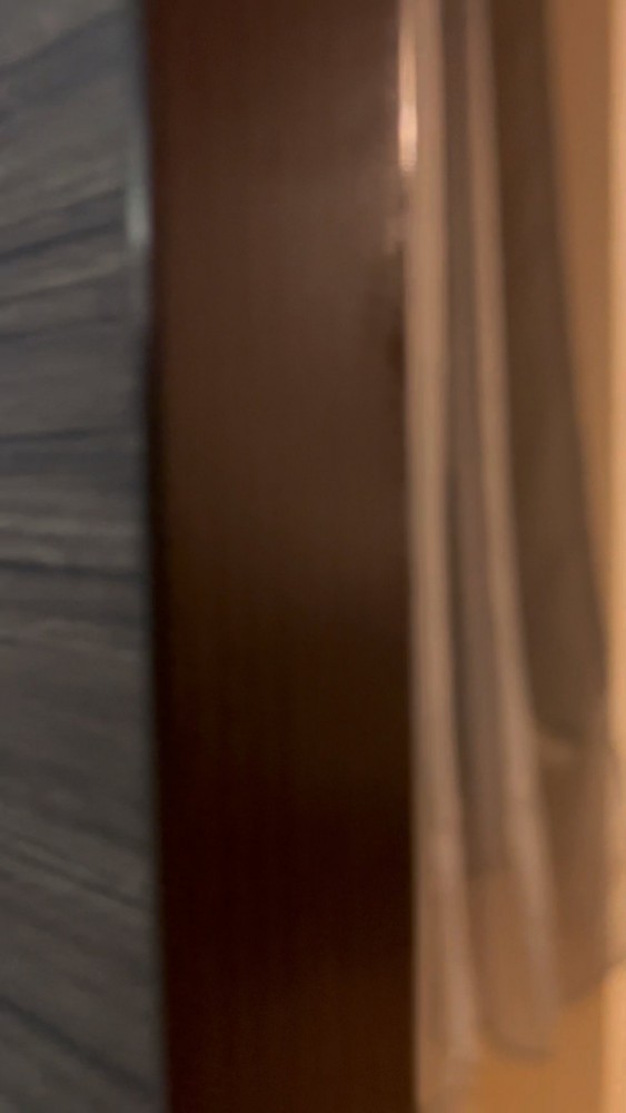 扉のむこうに猫さん