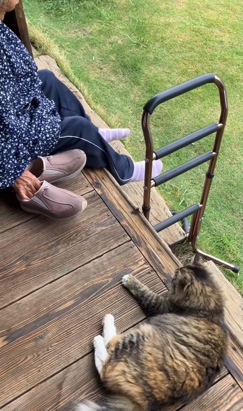 縁側で靴を持っているおばあちゃんを寝転がって見つめる猫