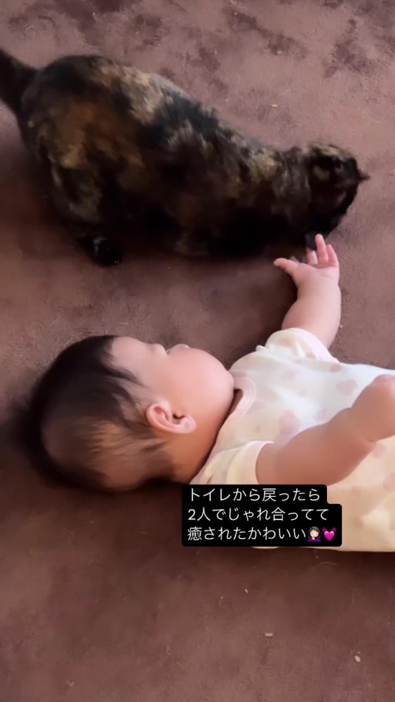 寝ている赤ちゃんと猫