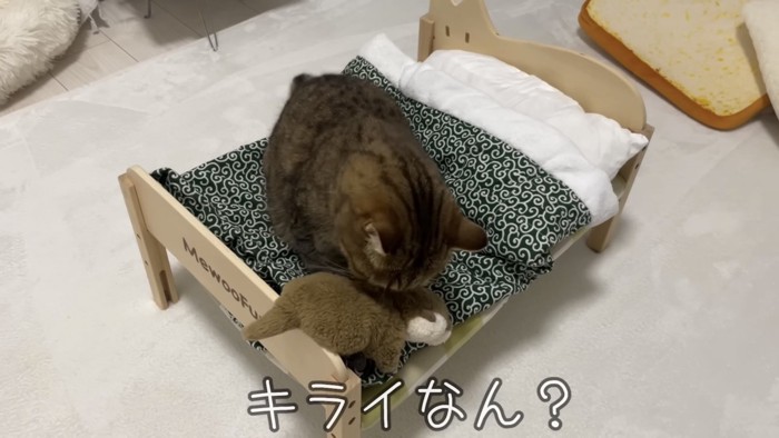 「キライなん?」のテロップ写真