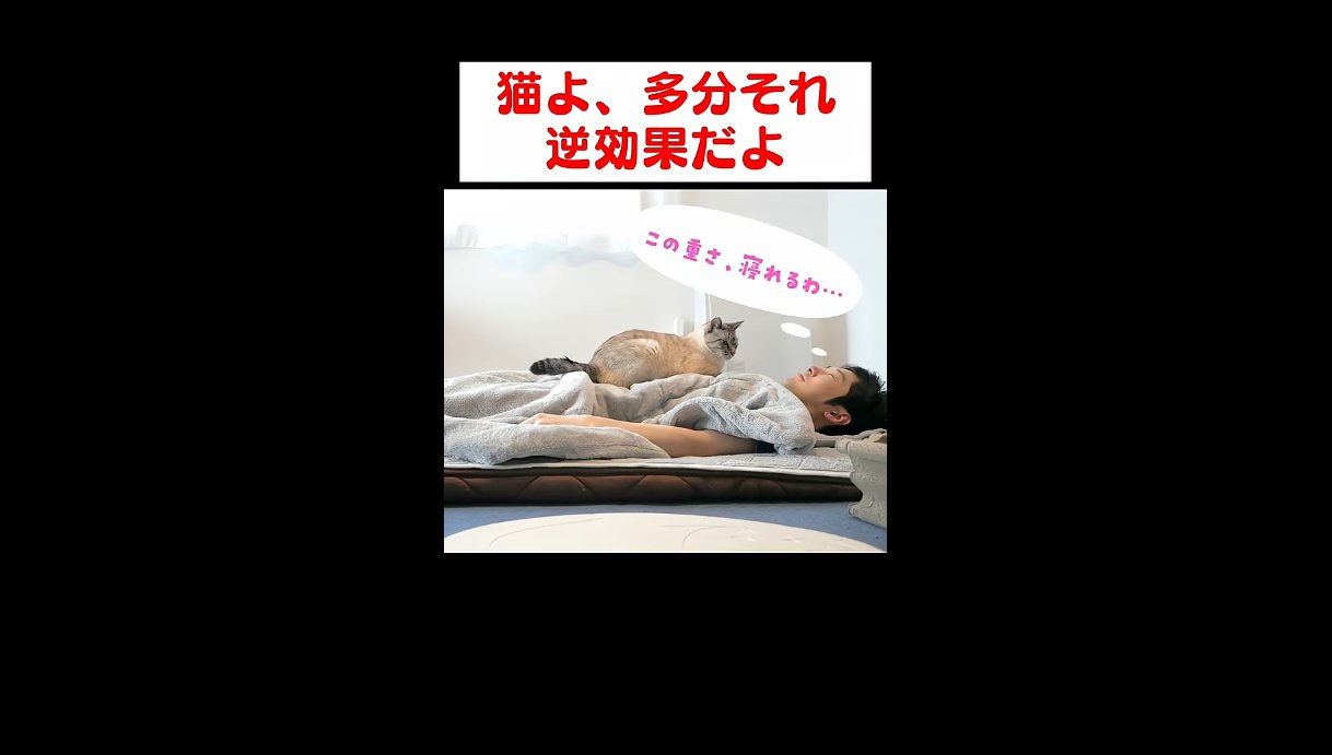 この重さ寝れるわ…