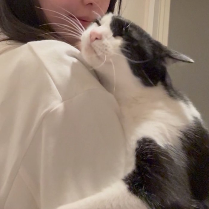 幸せそうな表情の猫