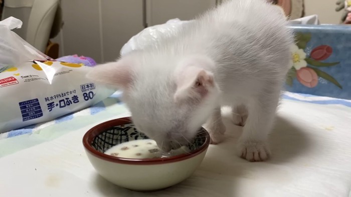 ごはん