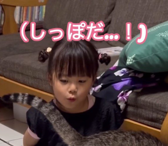 目の前にある猫のしっぽを見つめる女の子