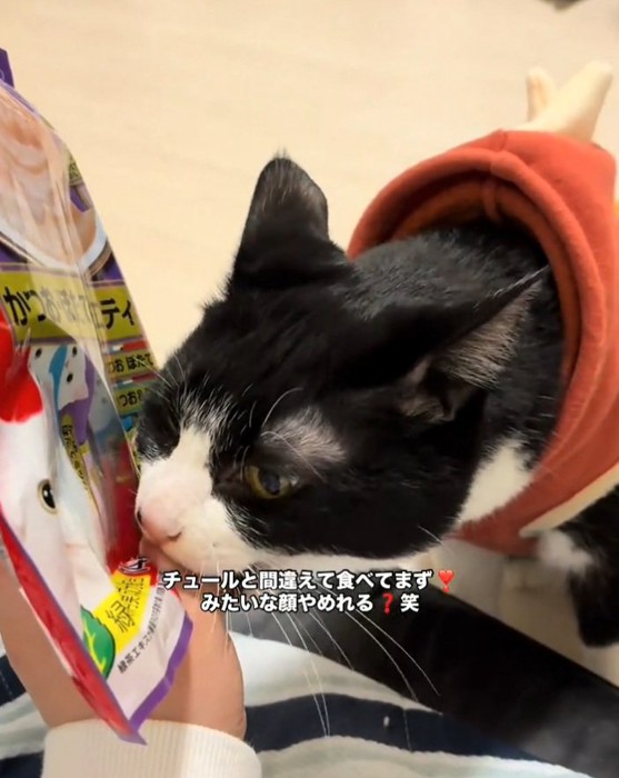 指を噛むオレオちゃん