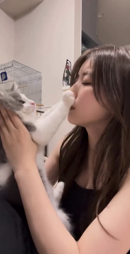 キスを拒む猫ちゃん