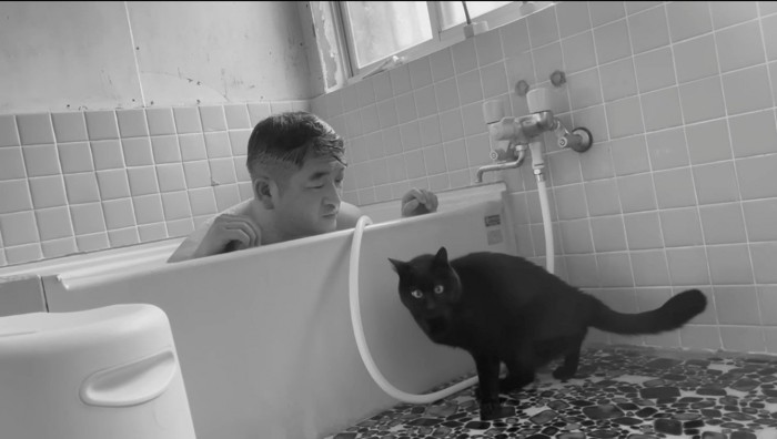 浴槽の縁から前足を下ろす猫