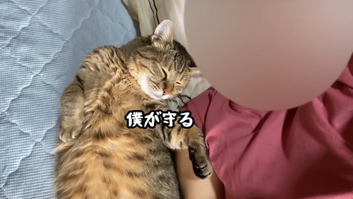 ママに寄り添って眠るサビ猫