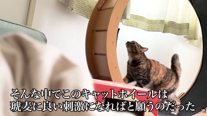 テロップ「そんな中で~」
