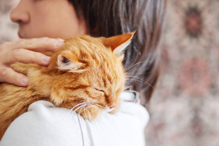 男性の肩に乗ってくつろぐ茶トラ猫