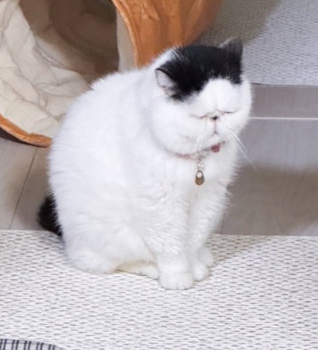 熟睡するぷっくん