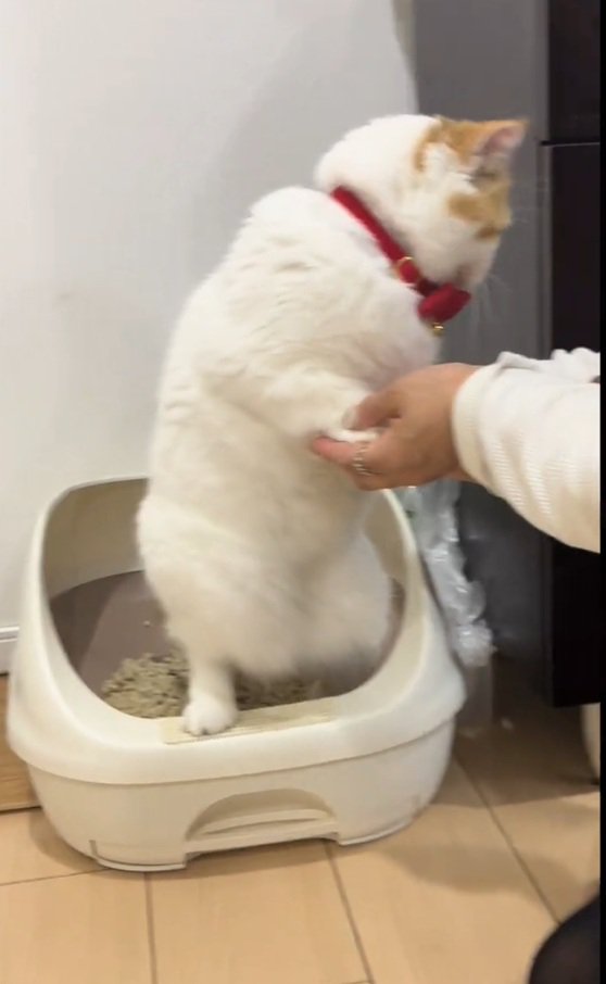 下を覗くリリィちゃん