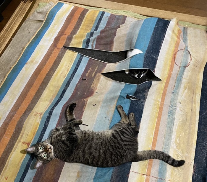 ビリビリに破られたマット