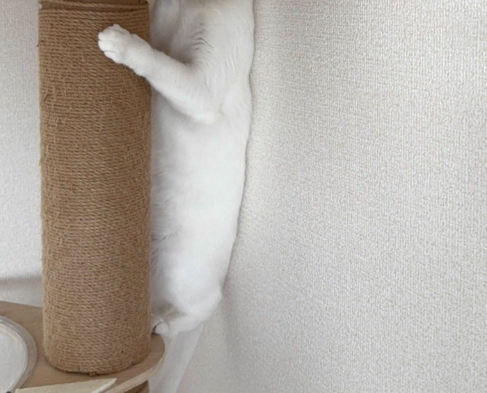 体は丸見え