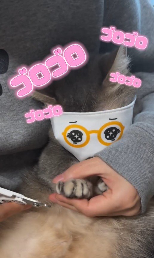 マスクをつけたココスくん