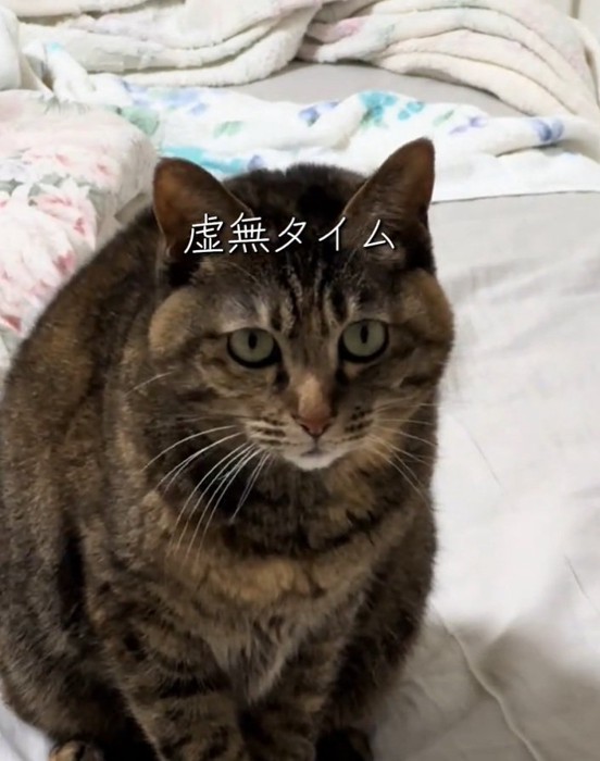 虚無顔のあめちゃん