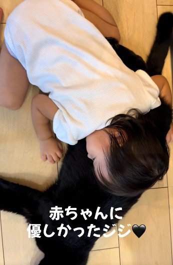 赤ちゃんに乗られている猫