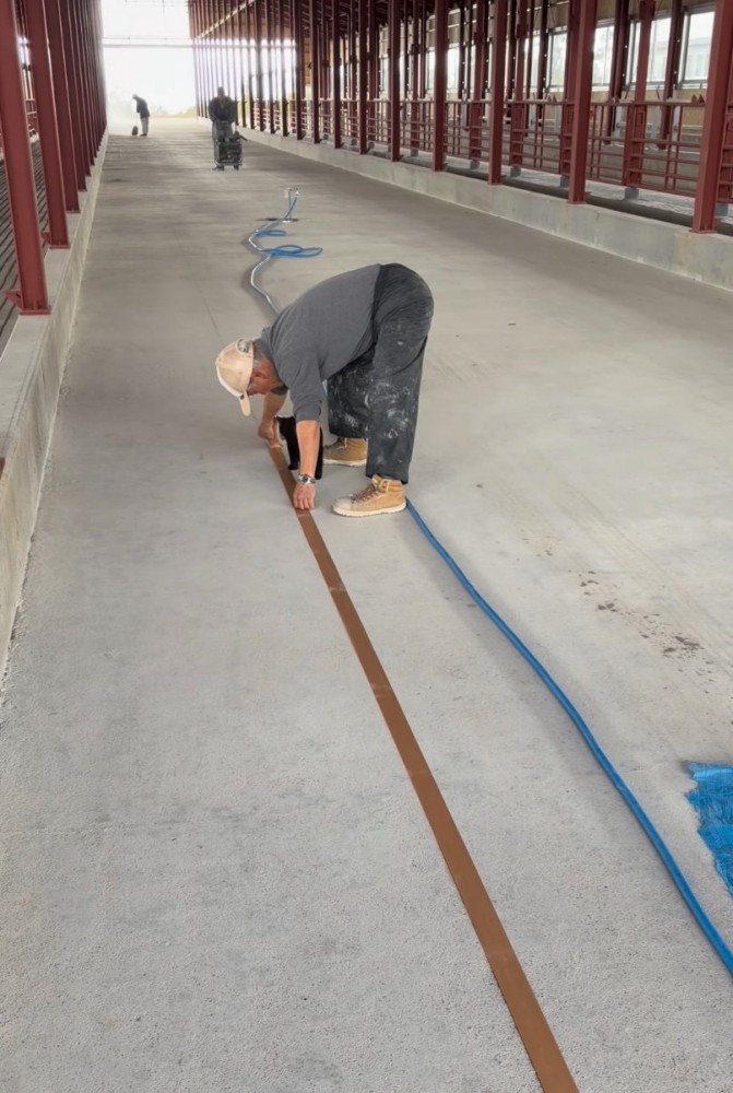 男性の下に入る子猫