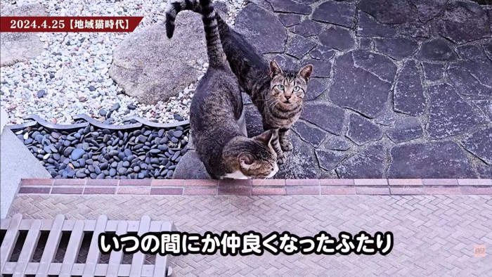 テロップ「いつの間にか仲良くなった~」