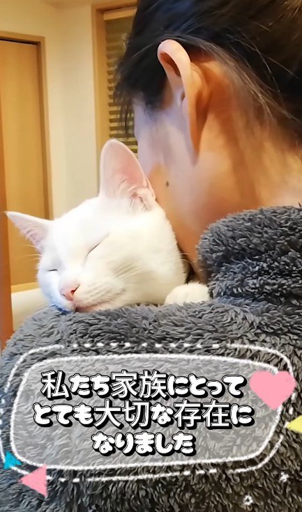 抱っこされる猫